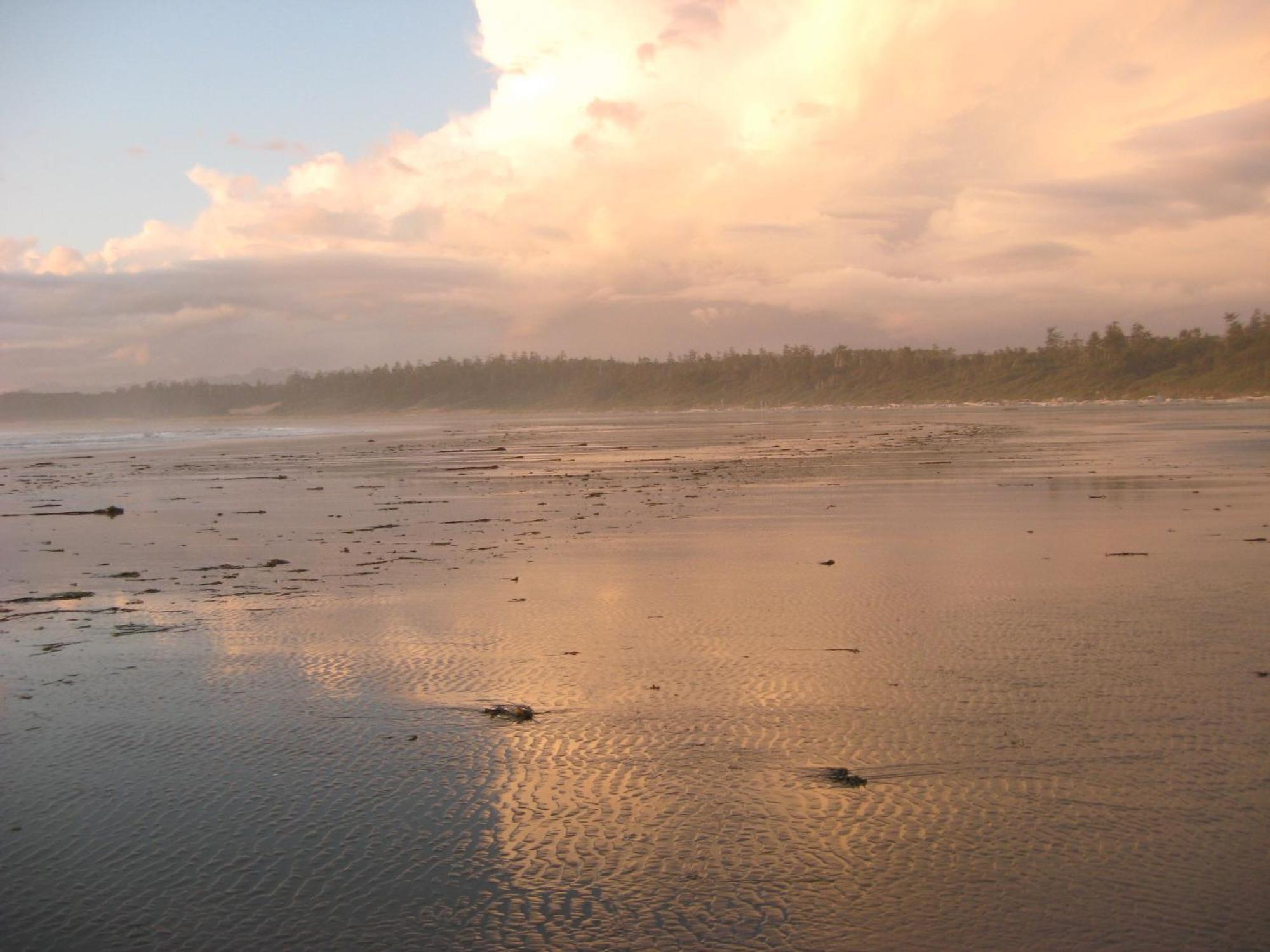 Moon And Sixpence Bed and Breakfast Ucluelet Esterno foto